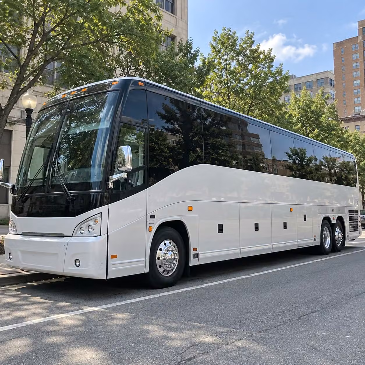 56 passenger charter bus